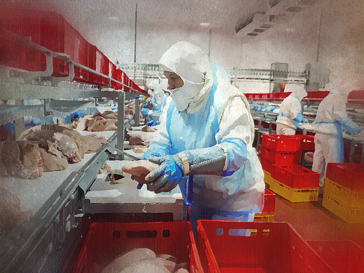 Средства защиты для работников пищевой промышленности: особенности и требования