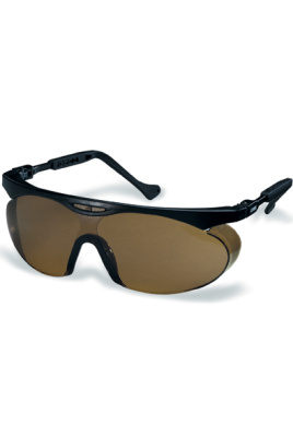 Skyper glasses 9195